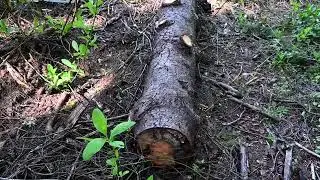 The Day the Earth Stood STIHL- Part 4  Last Chapter + BS