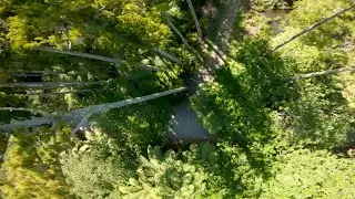 SHAKEY KNEES - FPV FREESTYLE
