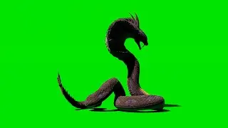 snake monster green screen video