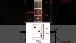 left handed chord charts or chord maps, how to read them   #lefthandedguitar #lefthandedguitarist