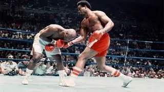 Biggest Boxing Knockout Reel - 