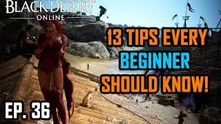 BDO Console EP 36 - 13 THINGS you NEED to KNOW!