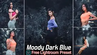 Moody Dark Blue Tone Lightroom Preset | lightroom presets | Free Dng preset | Dark Blue Tone presets