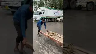 Мумбаи. Рыбный рынок в Мумбаи. Вот этих людей точно ничто не может сломить. 