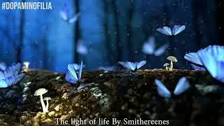 INSPIRING NO COPYRIGHT MUSIC THE LIGHT OF LIFE BY SMITHEREENES #editing #nocopyrightmusic