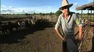 Landline - Nothern Breed : AACo Integrates StockIT Technology