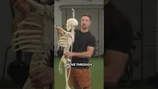 Fix The #1 Most Common Shoulder Problem That Causes Pain 