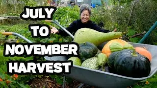 Episode 12...A seven minute video of some of my homegrown vegetables