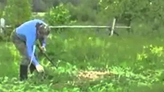 What is mulch for?