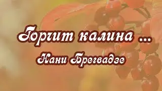 Горчит калина. Нани Брегвадзе