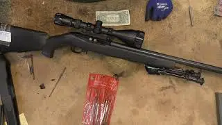 Ruger 10/22 Tips