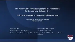 The Pennsylvania Psychiatric Leadership Council Racial Justice Learning Collaborative
