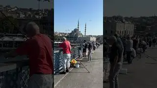 Fishermen in Istanbul🐟 #istanbul #turkey #fisherman #funnyshorts #стамбул #travel #турция #рибалка