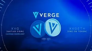 Verge Currency: What's Next After Reaching Max Supply?