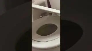 Toilet Seat for Tots