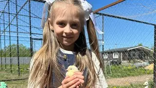В парке появились цыплята и мыши‼️ день Рождения удался🎉❤️‍🔥