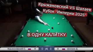 В одну калитку. Крыжановский Сергей VS Шалаев Данил. Кубок 