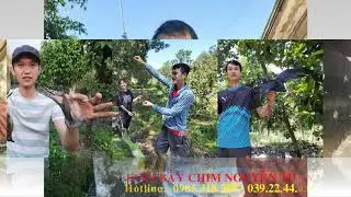 Lưới bẫy chim tàng hình thái lan giá rẻ
