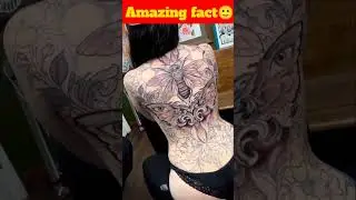 टैटू करवाने के बाद ब्लड डोनेट क्यों नहीं कर सकते? #factshorts