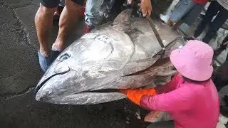 Over 400 kg Giant Bluefin Tuna cutting for Sashimi  Donggang fish market Taiwan