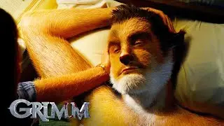 Rosalee Saves Ian's Life | Grimm
