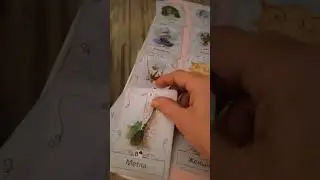 похищение мальчика Ярослава 6 лет Оренбургская область