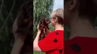 Девушка с розами