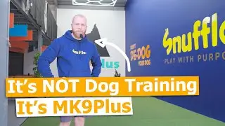 The System Is Failing Dogs—So I Built a New One (Why MK9Plus Had to Exist)
