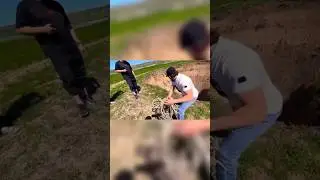 Ашалеетьь #shortvideo #юмор #смех #shorts