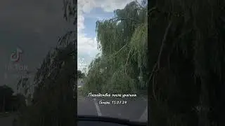#беларусь #гомельураган #шторм