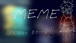 Признаки енота (MEME?)