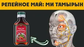 1 ТАМШЫ РЕПЕЙНОЕ МАЙЫ бастағы МИ ТАМЫРЛАРЫН ТҮГЕЛДЕЙ ҚУАТТЫ ЕТЕДІ, Репейное масло ҚҰПИЯСЫ қандай БОЛ