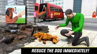 Animal Shelter: Dog Rescue Sim
