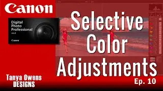 10 Selective Color Adjustments - Canon DPP 4
