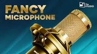 Do you NEED an expensive Microphone?