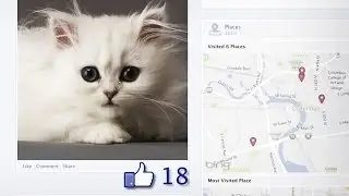 How To Share Your Cat Story on Facebook Timeline - Fancy Feast®