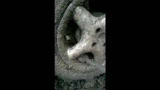 Офроадная охота
