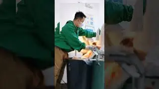 NORMAL BIRTH / PARTO NORMAL / BIRTH VLOGGING