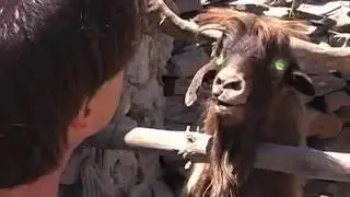 Happy Trailer Fun Time I EP 1: Goatbusters