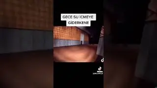 gece   su   içmeye    giderken