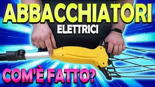 COM'È FATTO? - ABBACCHIATORI ELETTRICI PER OLIVE