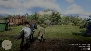 Red Dead Redemption 2 Der Bär