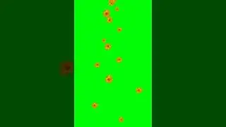 The Fall - Shower of Flowers Animation - GreenScreen Template - animating Flowers fall free use