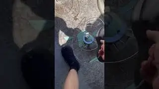 Brinsmead desk fan destruction