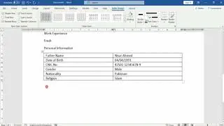 Make Curriculum Vitae (CV) in Microsoft Word.