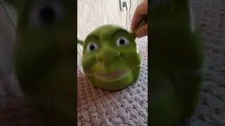 Шрек...