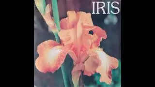 Gianni Marchetti – Iris (1978) Album
