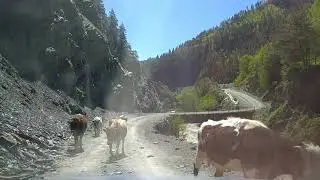 жизнь в горах Дагестана.   дидоэтия