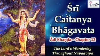 Chaitanya Bhagavata - Adi Khanda - Chapter 12 - Lord Gauranga Wandering Throughout Navadvipa