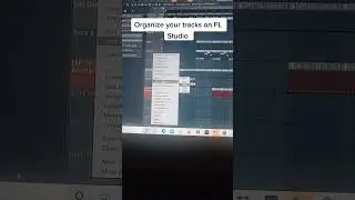 How to organize your tracks on fl studio. 